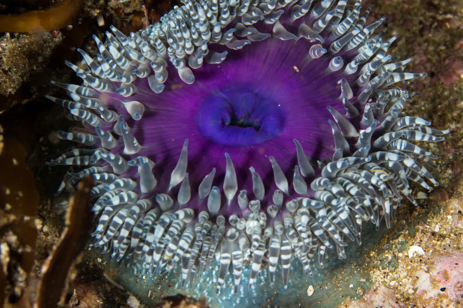 Sunlight filtering through a vibrant reef