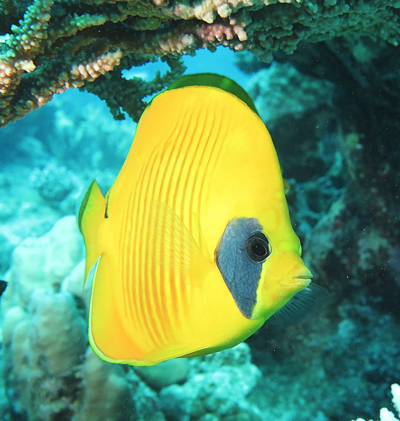 Photography Competition Winners Announced!