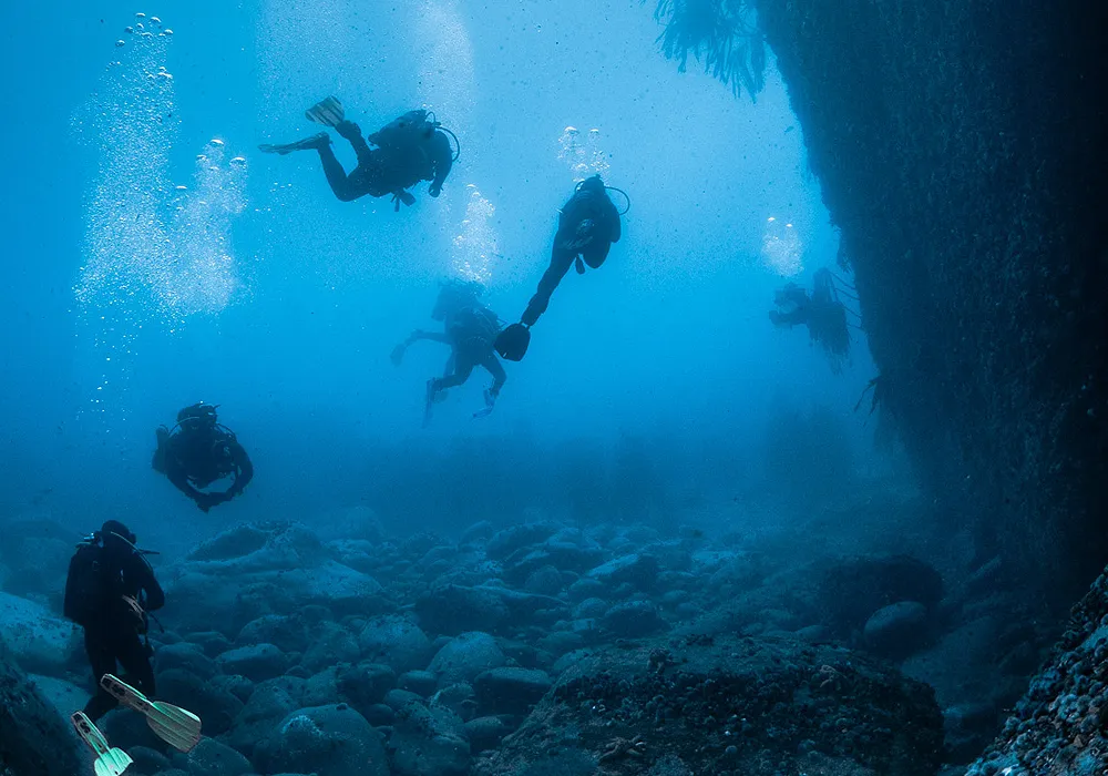 FBUC Marine Life 1