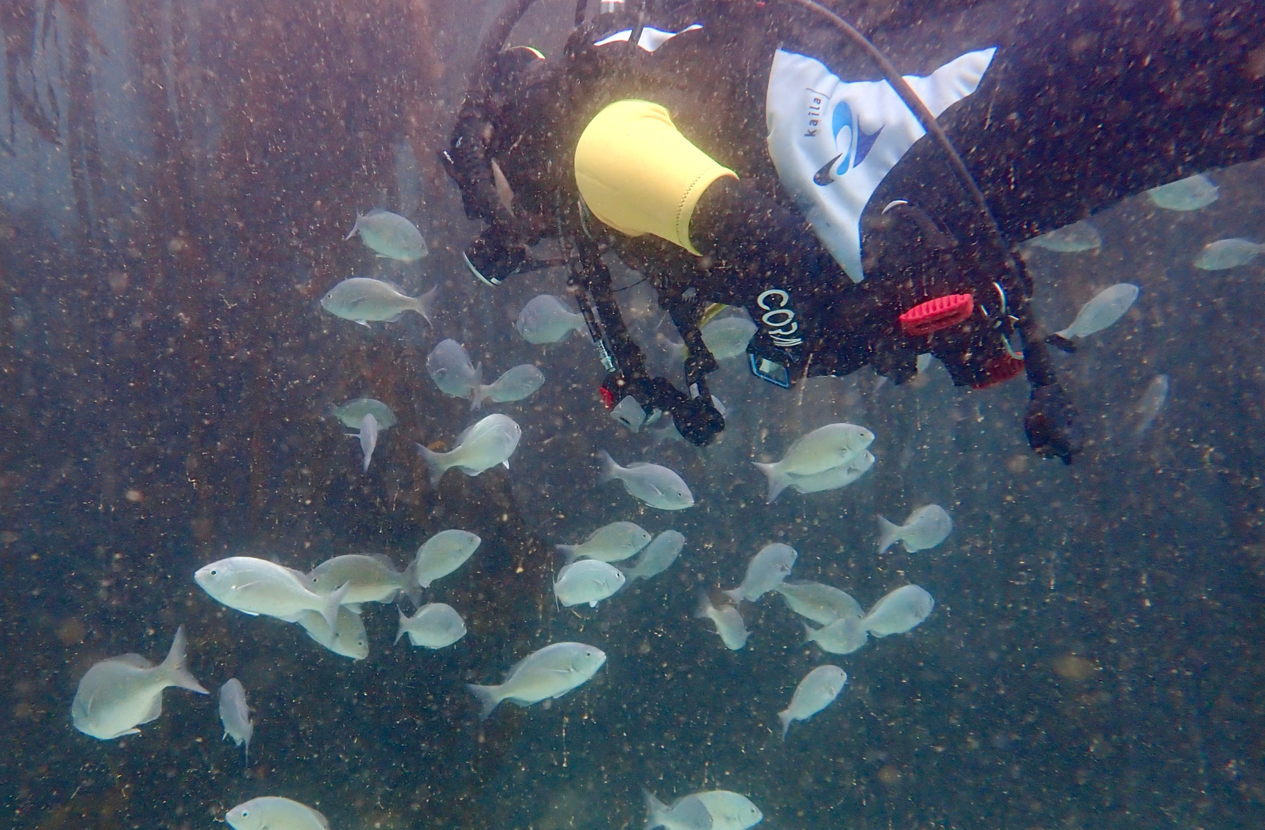 fbuc-club-activities