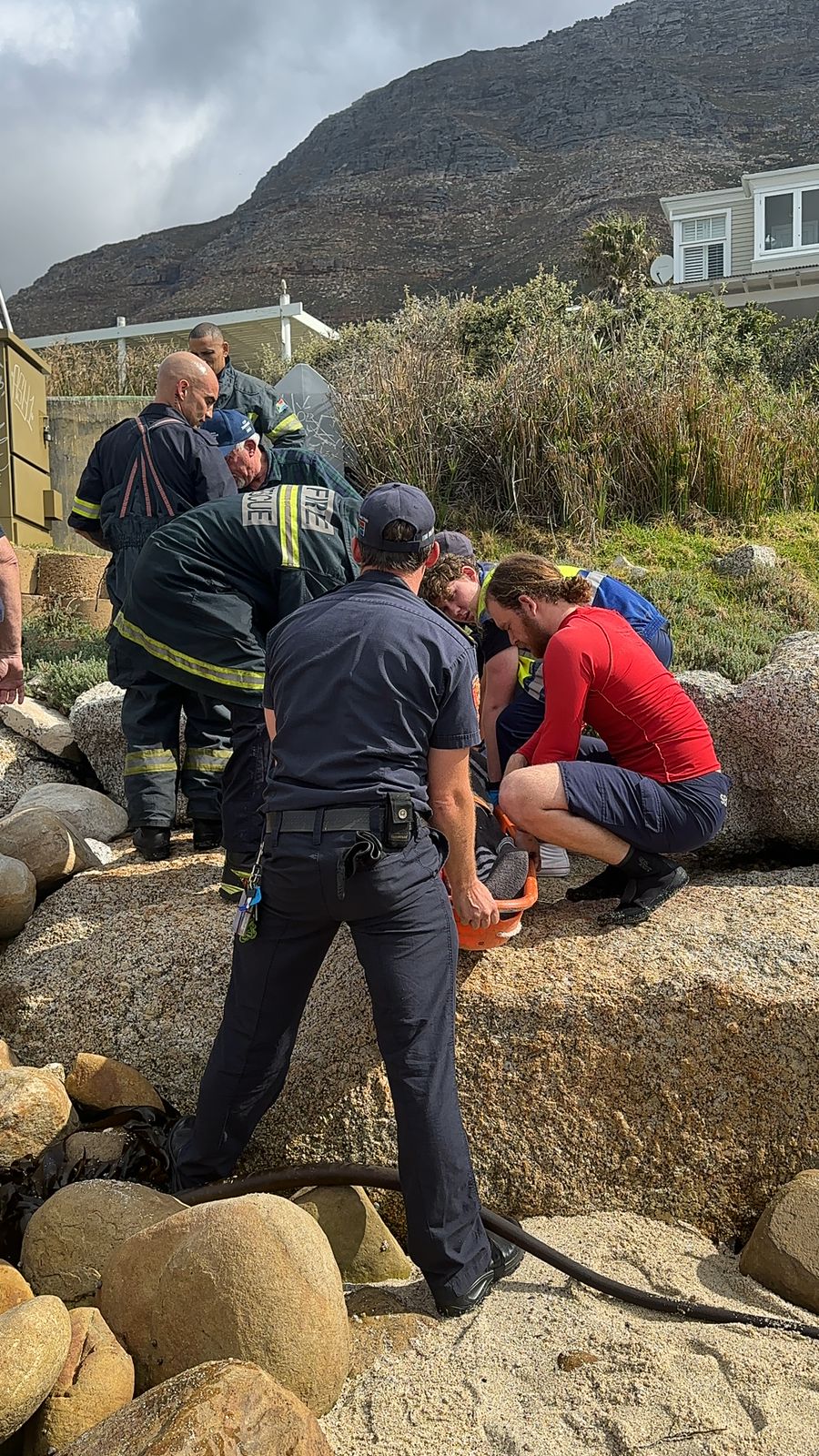 d2cea530-cee0-44ea-9af2-c4188597a770